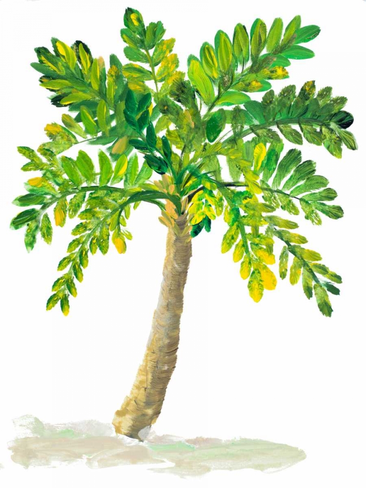 Palm Days IV art print by Julie DeRice for $57.95 CAD
