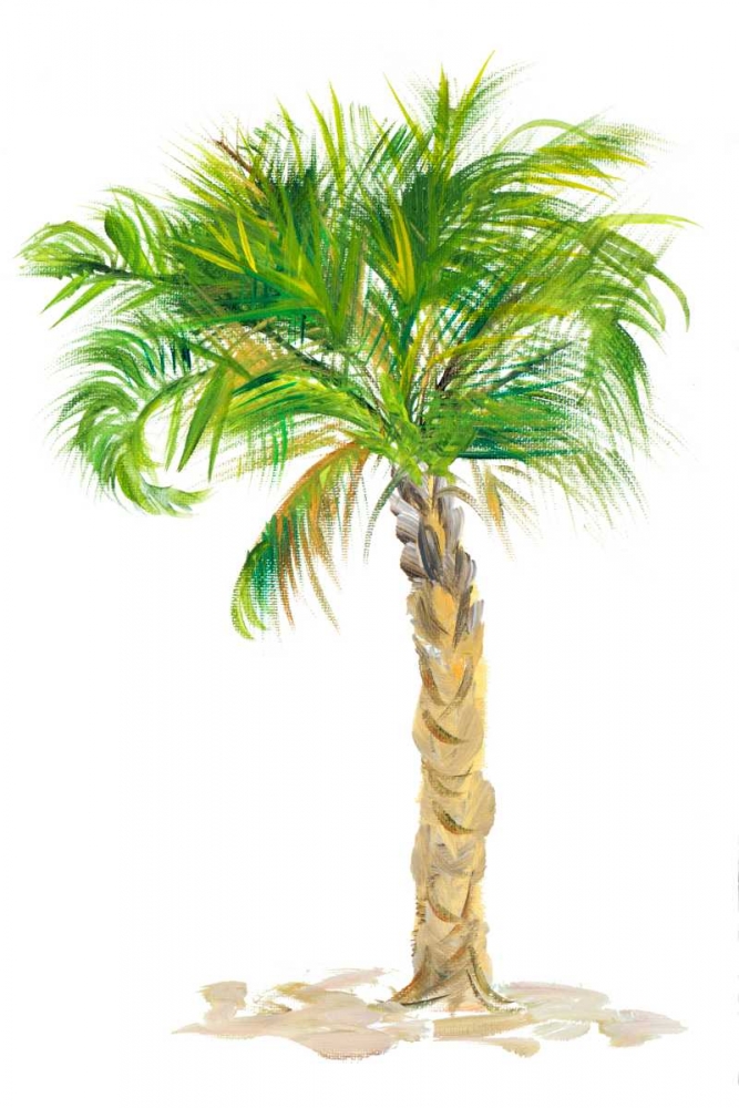 Palm Days VIII art print by Julie DeRice for $57.95 CAD