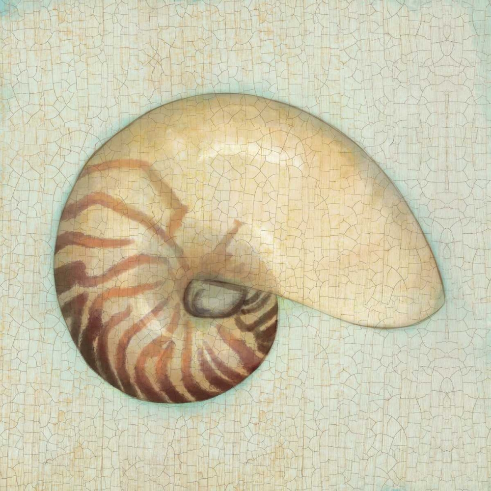 Coastal Treasures III art print by Josefina for $57.95 CAD