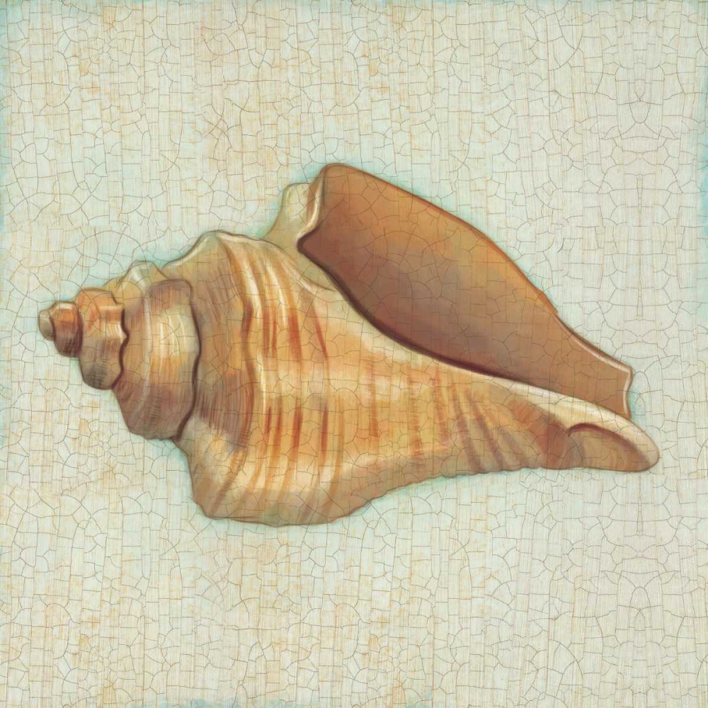 Coastal Treasures II art print by Josefina for $57.95 CAD