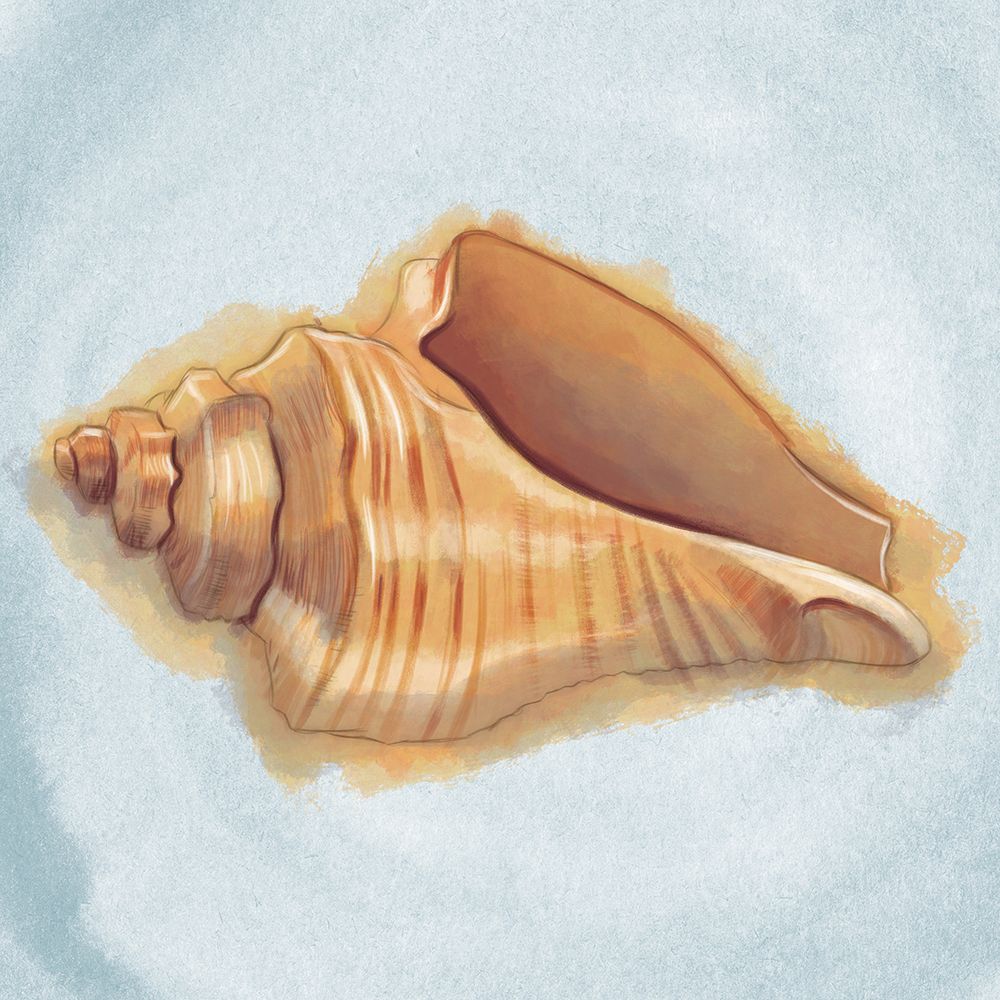 Coastal Treasures on Blue IV art print by Josefina for $57.95 CAD