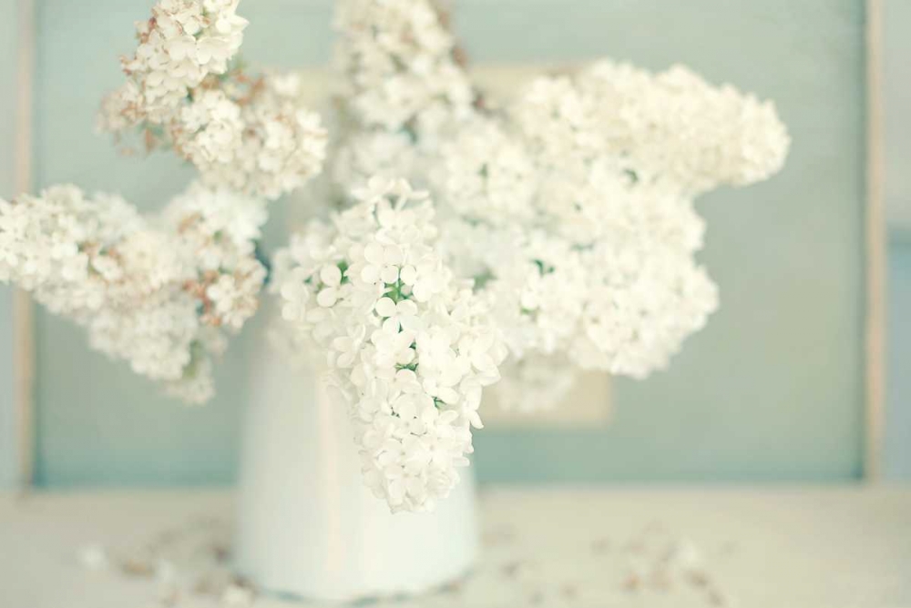 Gorgeous Whites art print by Sarah Gardner for $57.95 CAD