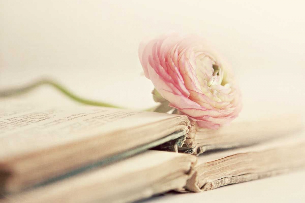 Peony Books art print by Sarah Gardner for $57.95 CAD