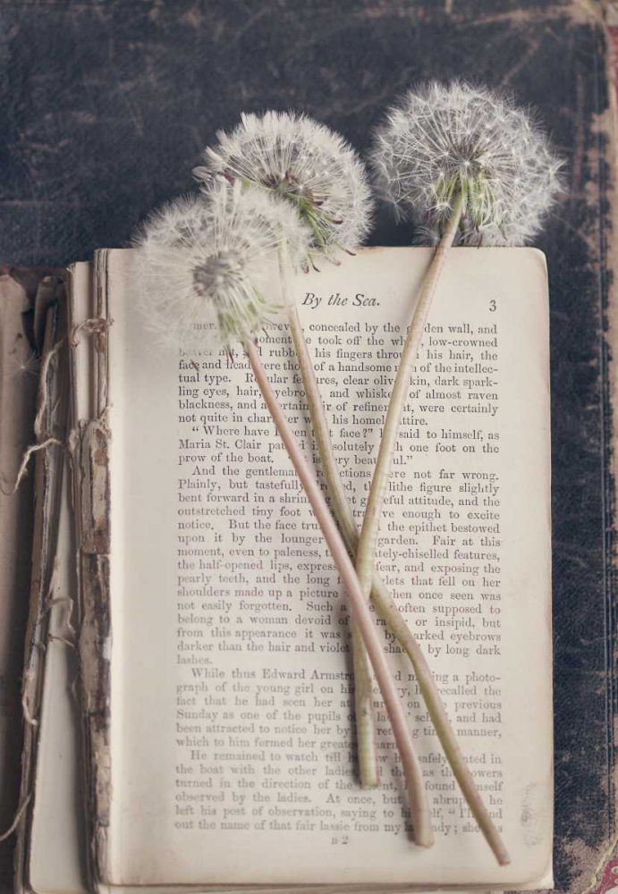 By The Sea (Book) art print by Sarah Gardner for $57.95 CAD