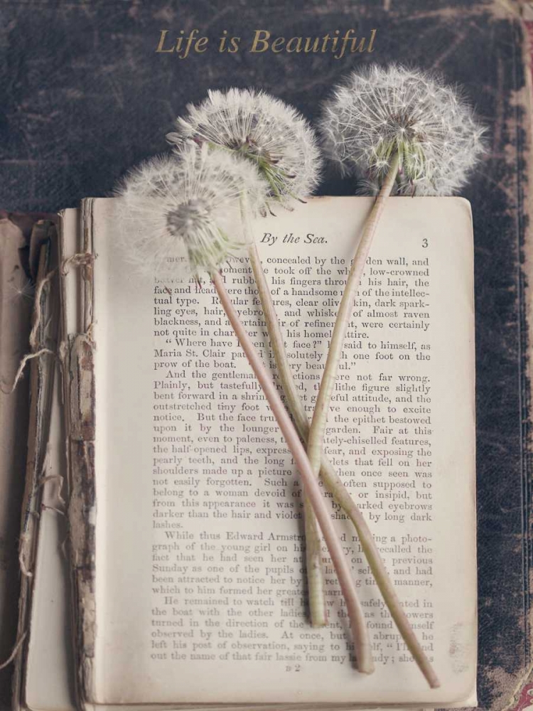 Life is Beautiful art print by Sarah Gardner for $57.95 CAD