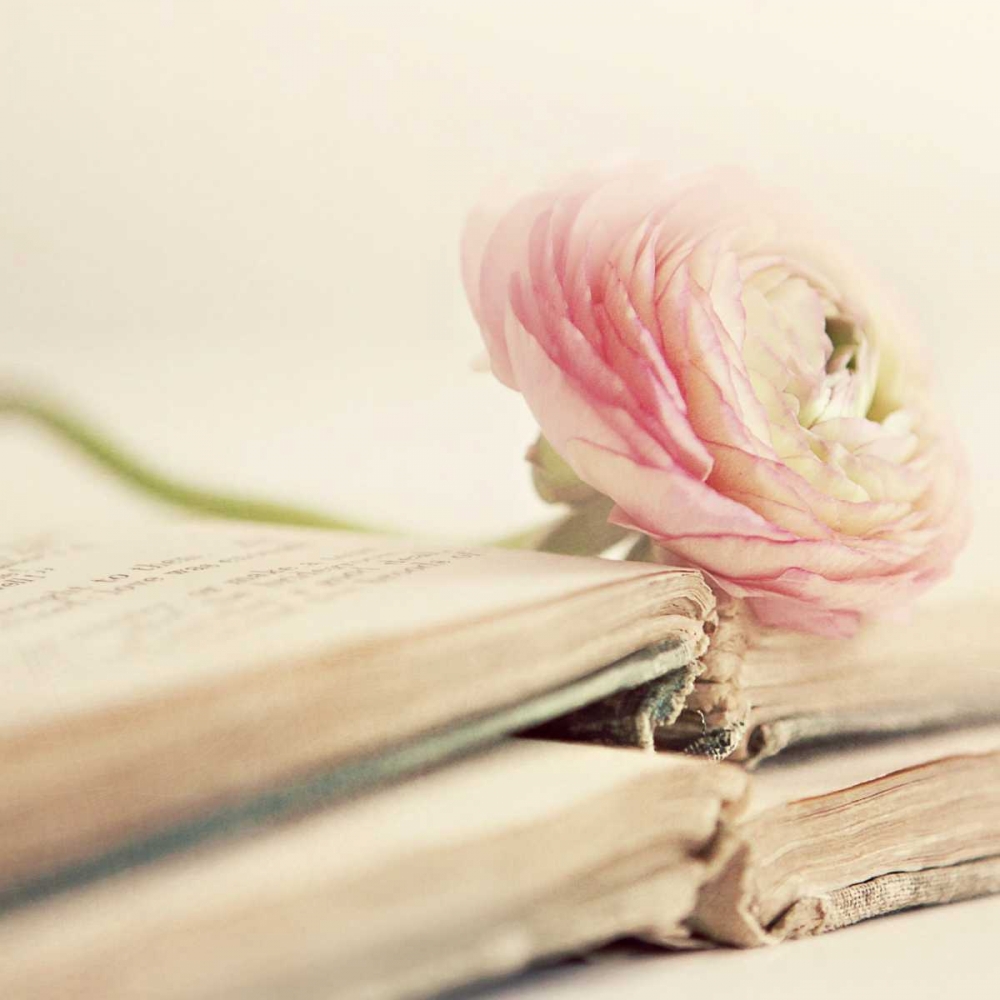 Peony Books Square art print by Sarah Gardner for $57.95 CAD