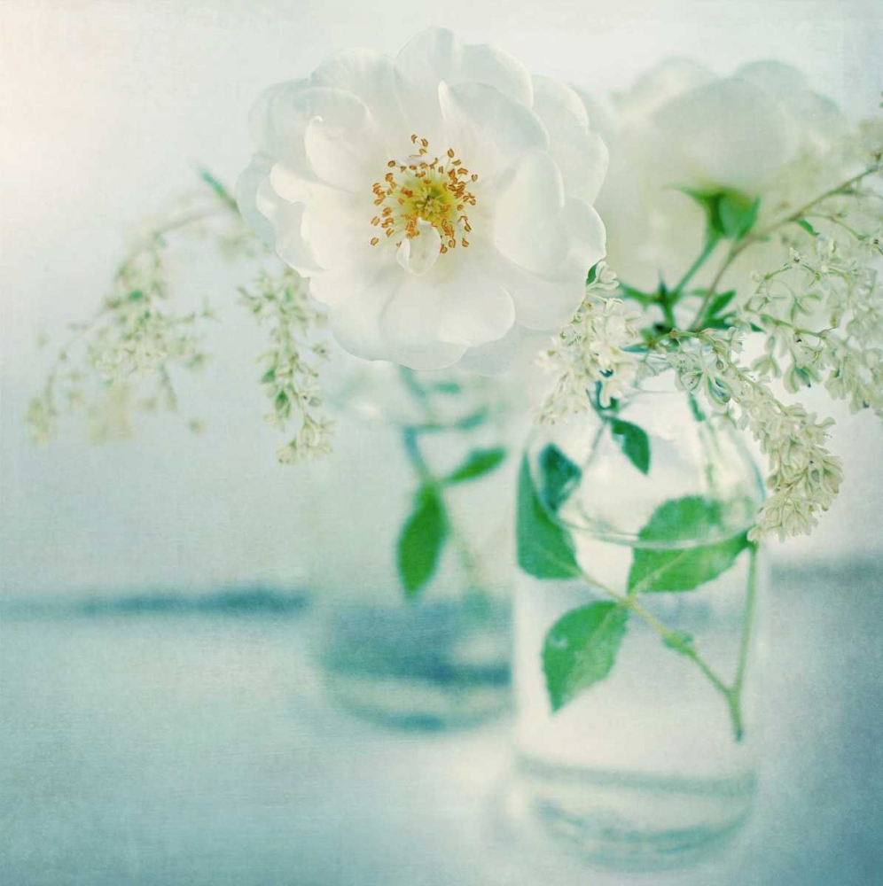 White Peonies art print by Sarah Gardner for $57.95 CAD
