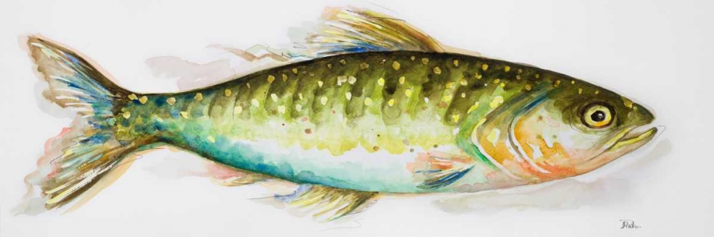 Watercolor Fish II art print by Patricia Pinto for $57.95 CAD