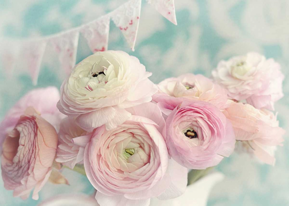 Ranunculus Party art print by Sarah Gardner for $57.95 CAD