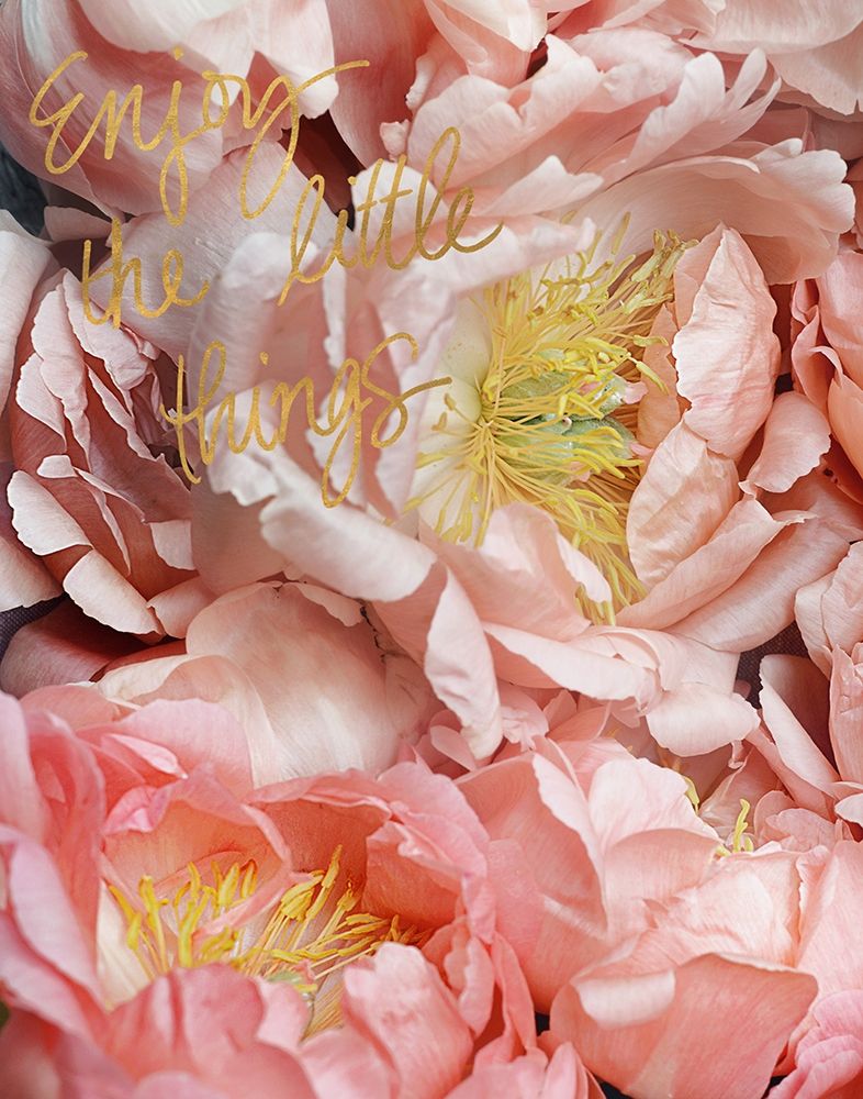 Enjoy the Little Things art print by Sarah Gardner for $57.95 CAD