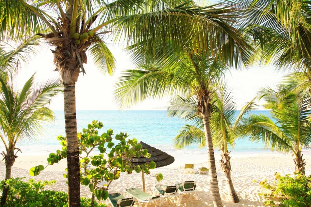 Sitting Under the Palms art print by Susan Bryant for $57.95 CAD