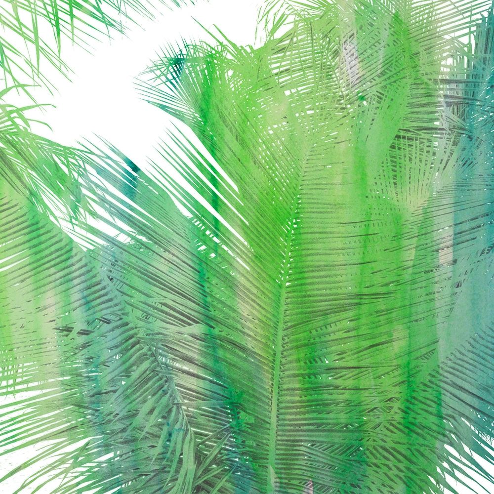 The Tropical Life II art print by Susan Bryant for $57.95 CAD