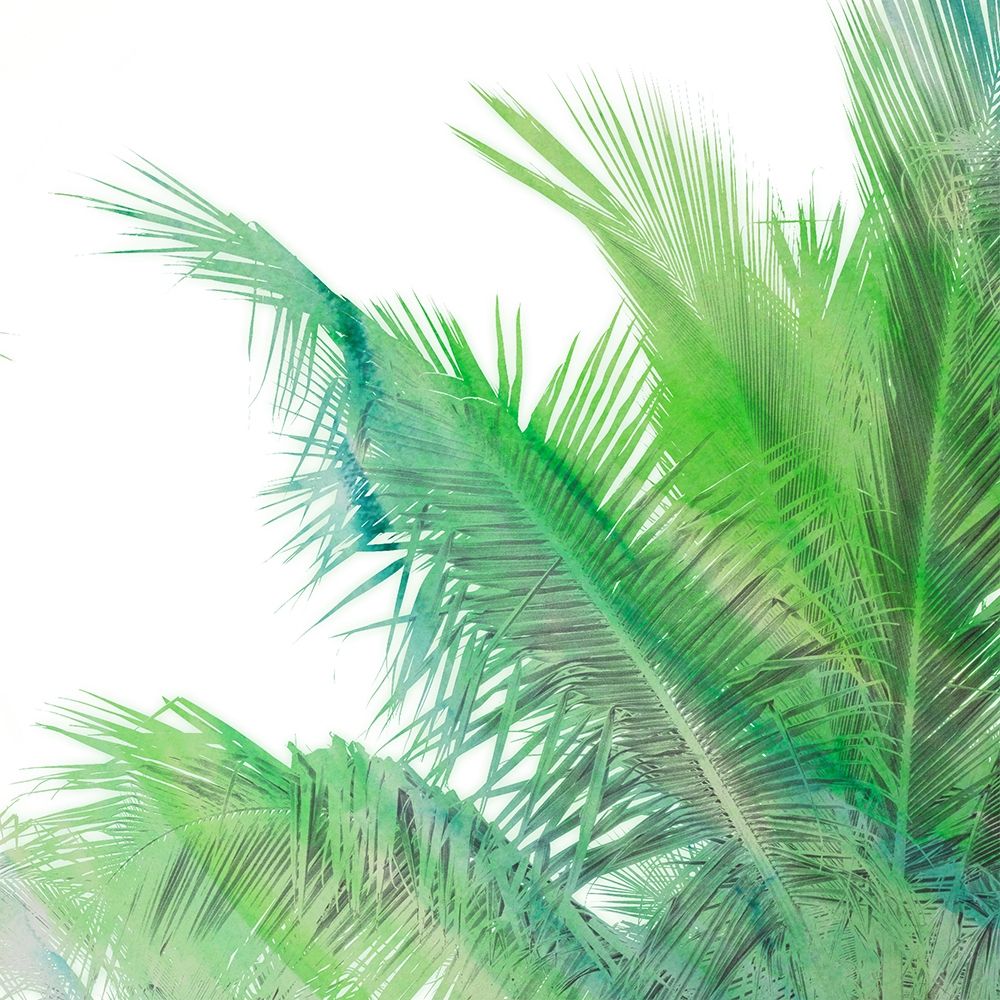 The Tropical Life I art print by Susan Bryant for $57.95 CAD