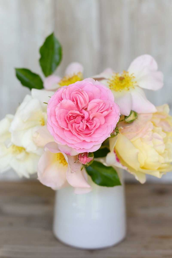 Country Bouquet I art print by Sarah Gardner for $57.95 CAD