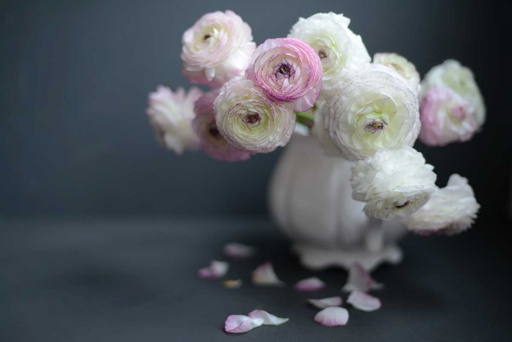 Subtle Beauty art print by Sarah Gardner for $57.95 CAD