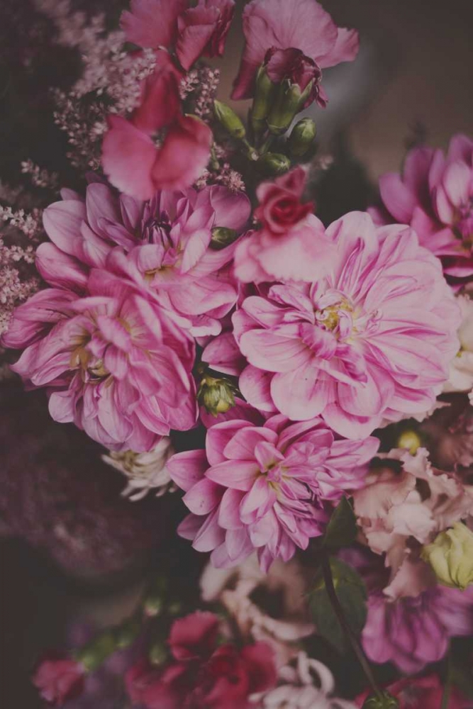 Dark Floral art print by Sarah Gardner for $57.95 CAD