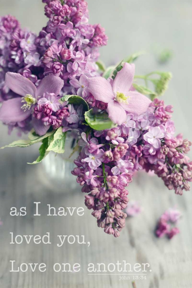 Love One Another art print by Sarah Gardner for $57.95 CAD