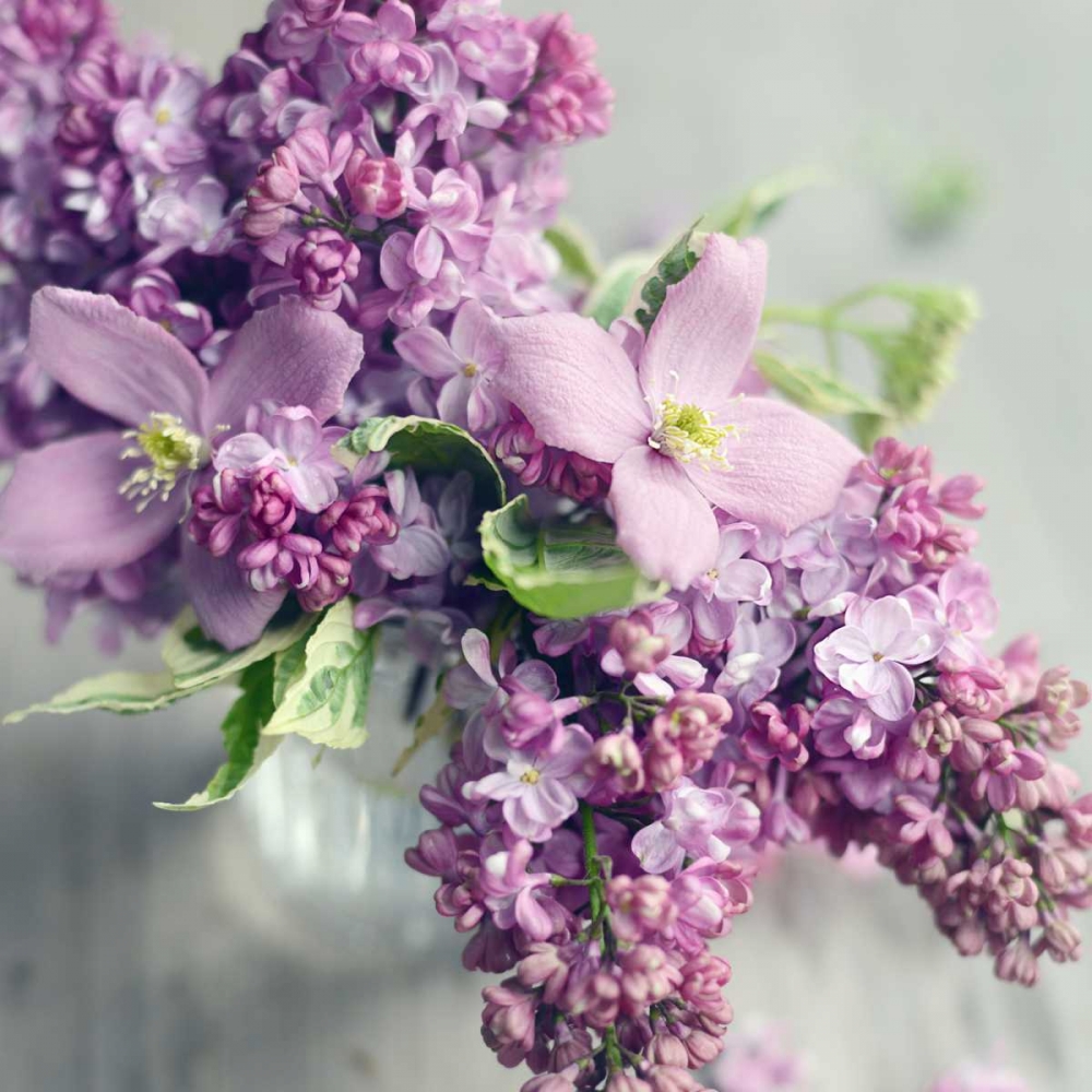 Fresh Morning Bloom art print by Sarah Gardner for $57.95 CAD