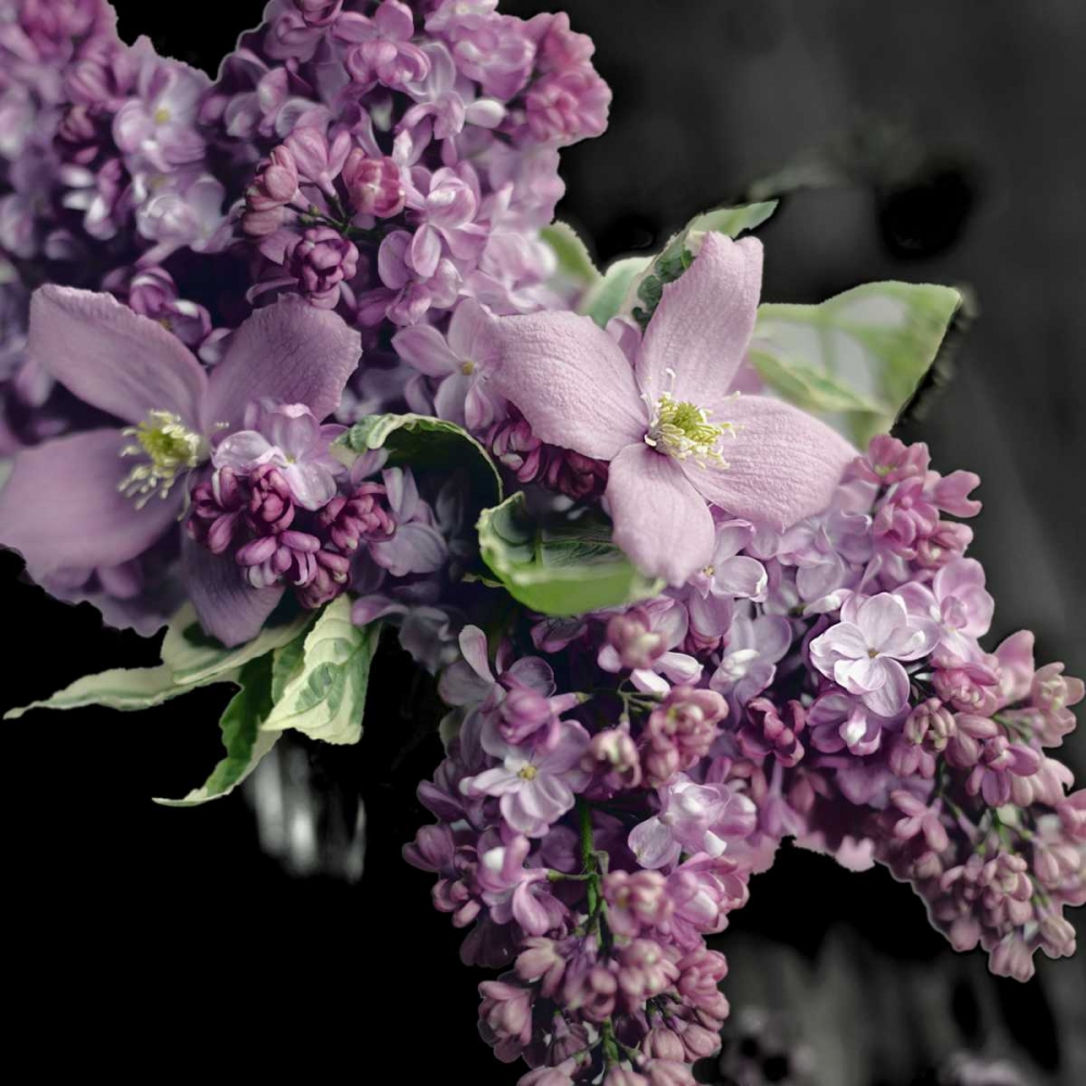 Fresh Evening Bloom art print by Sarah Gardner for $57.95 CAD