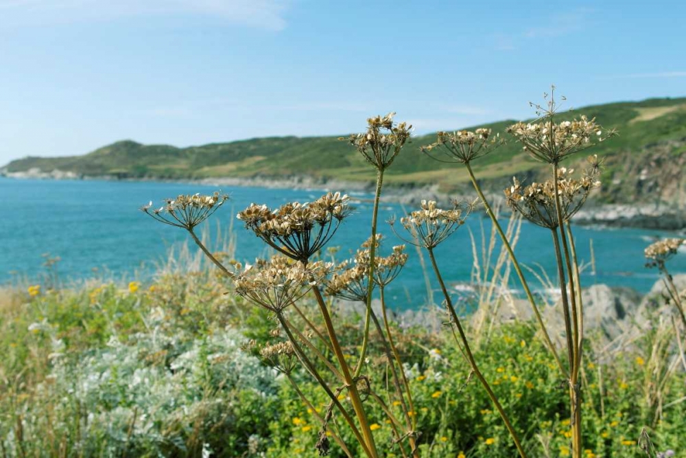 Far Away In The Breeze art print by Sarah Gardner for $57.95 CAD