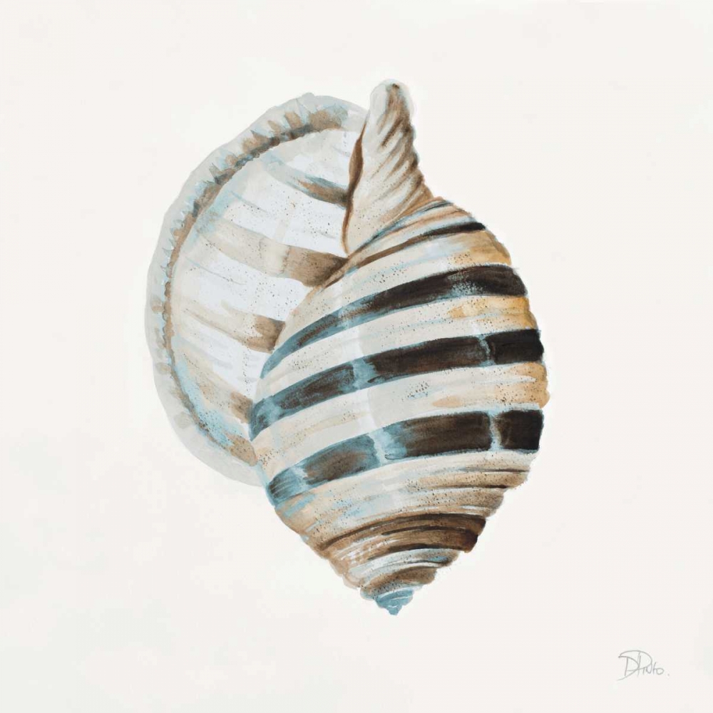 Modern Shell with Teal I art print by Patricia Pinto for $57.95 CAD