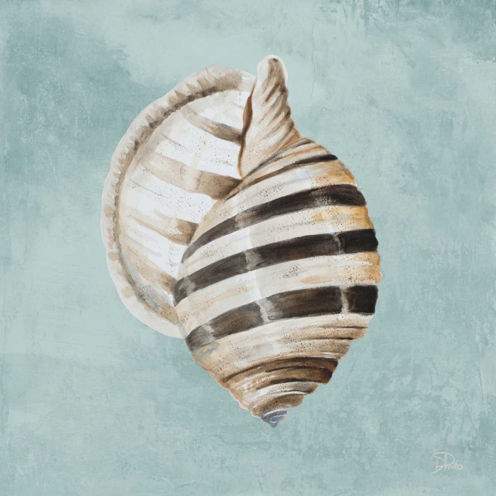 Modern Shell on Teal I art print by Patricia Pinto for $57.95 CAD