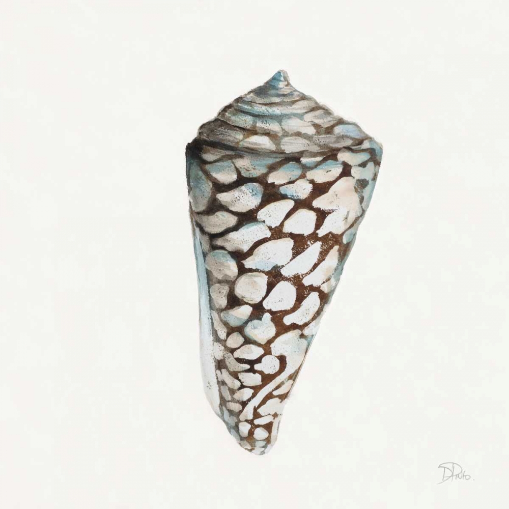 Modern Shell with Teal II art print by Patricia Pinto for $57.95 CAD