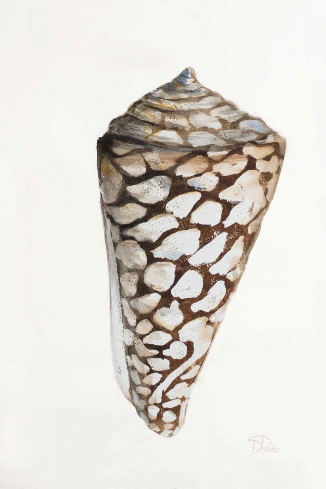 Modern Shell II art print by Patricia Pinto for $57.95 CAD