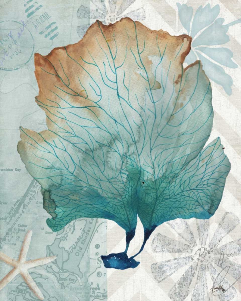 Nautical World IV art print by Elizabeth Medley for $57.95 CAD