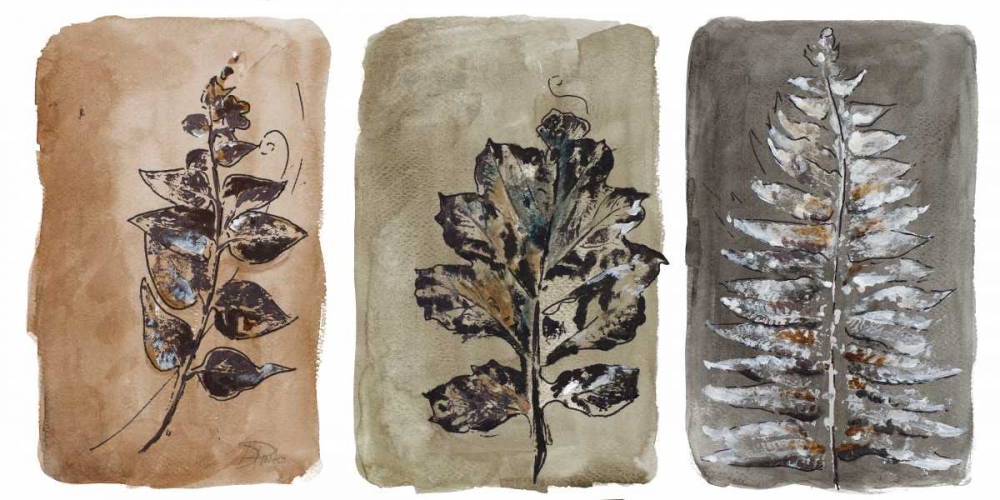 Watercolor Sepia Leaves II art print by Patricia Pinto for $57.95 CAD