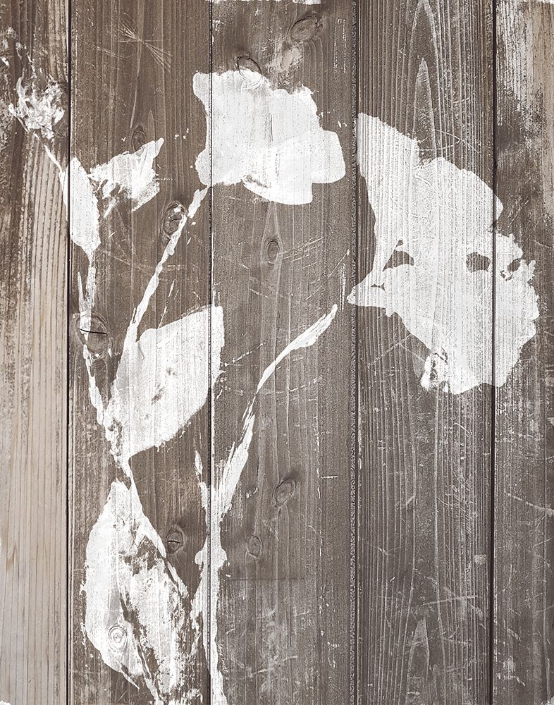 Brown Floral Whisper on Wood Background II art print by Lanie Loreth for $57.95 CAD