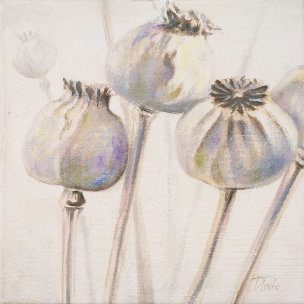Poppy Seeds I art print by Patricia Pinto for $57.95 CAD