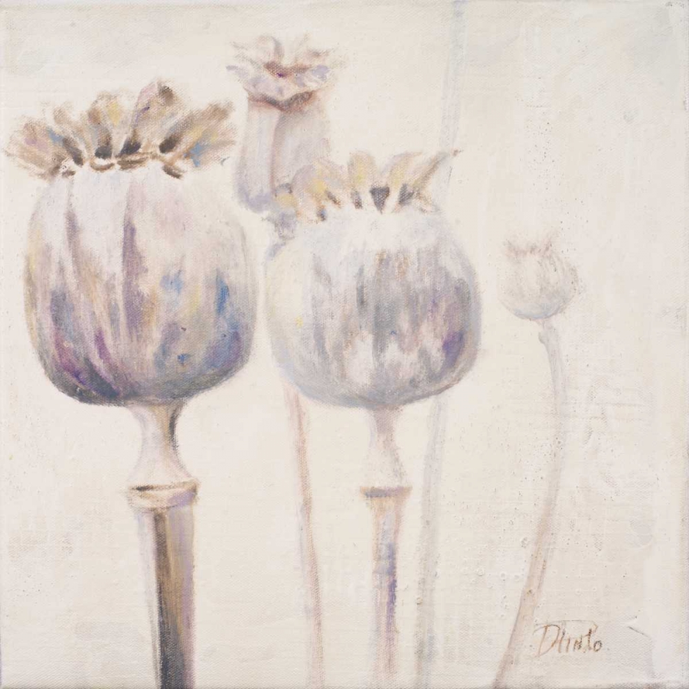 Poppy Seeds II art print by Patricia Pinto for $57.95 CAD