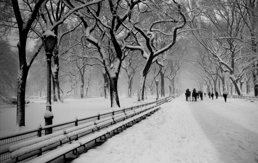 Central Park Snow art print by Bill Carson Photography for $57.95 CAD