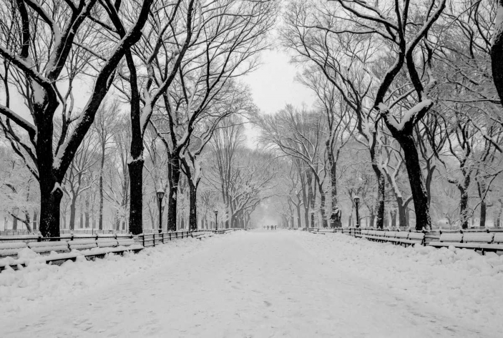 The Mall Washington DC art print by Bill Carson Photography for $57.95 CAD
