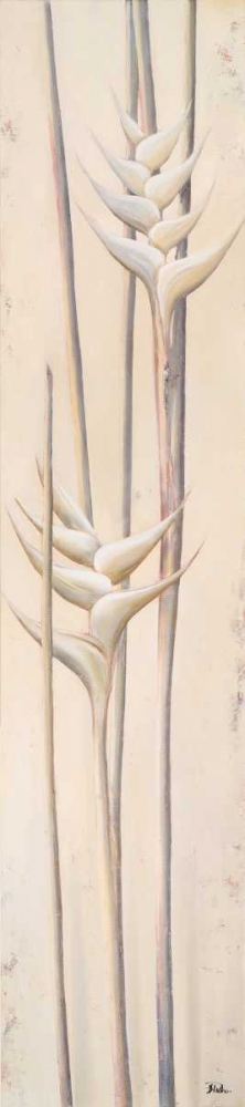 White Heliconias II art print by Patricia Pinto for $57.95 CAD