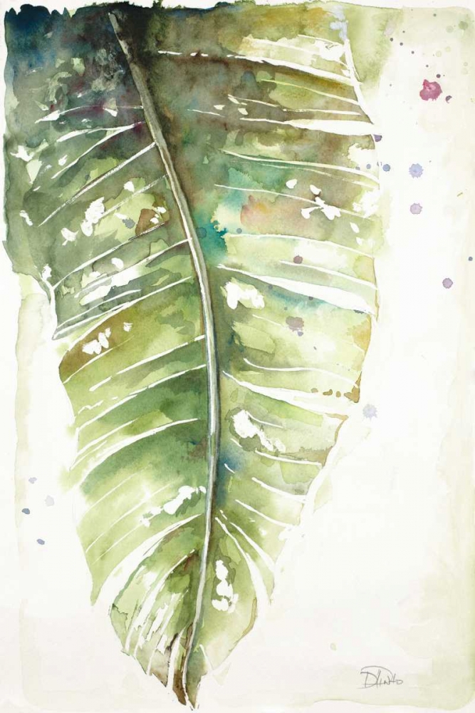 Watercolor Plantain Leaves I art print by Patricia Pinto for $57.95 CAD