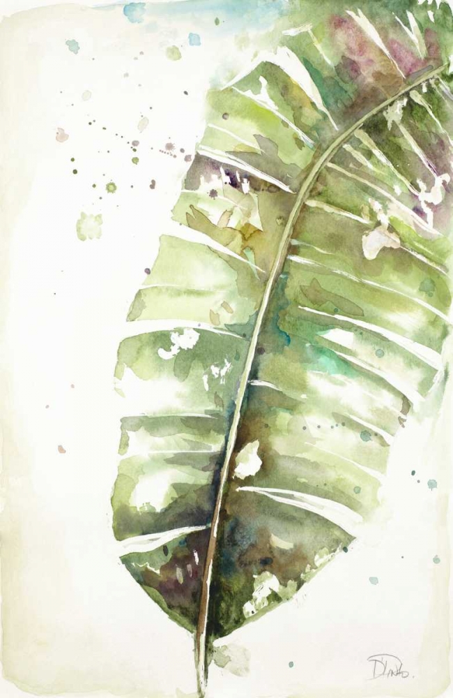 Watercolor Plantain Leaves II art print by Patricia Pinto for $57.95 CAD