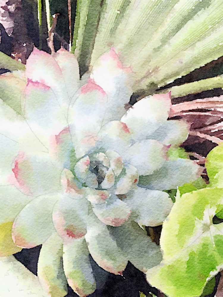 Watercolor Green Succulent art print by Nola James for $57.95 CAD