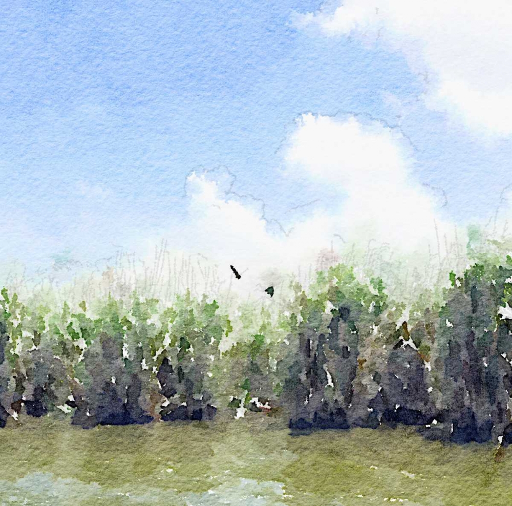 Watercolor Black Hammock Lake art print by Nola James for $57.95 CAD