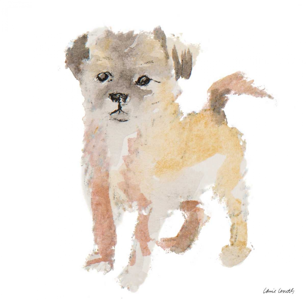 Furry Paws art print by Lanie Loreth for $57.95 CAD