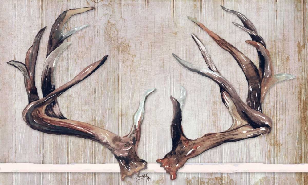 Trophy Antlers art print by Elizabeth Medley for $57.95 CAD