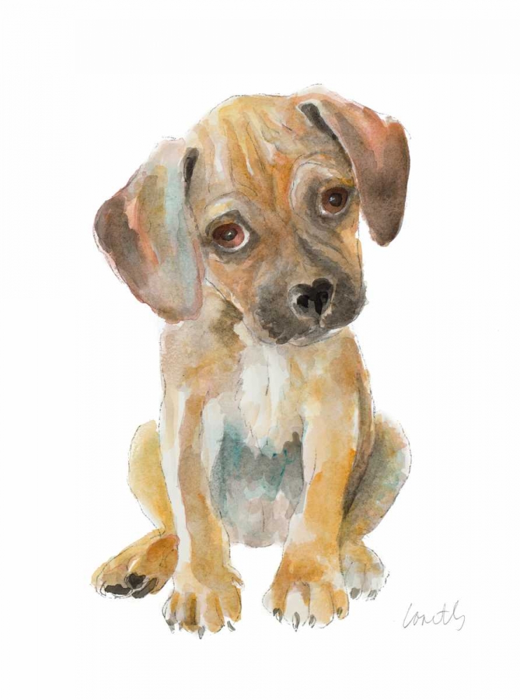 Retriever Puppy art print by Lanie Loreth for $57.95 CAD