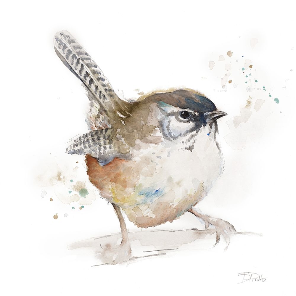 Watercolor Mountain Bird I art print by Patricia Pinto for $57.95 CAD