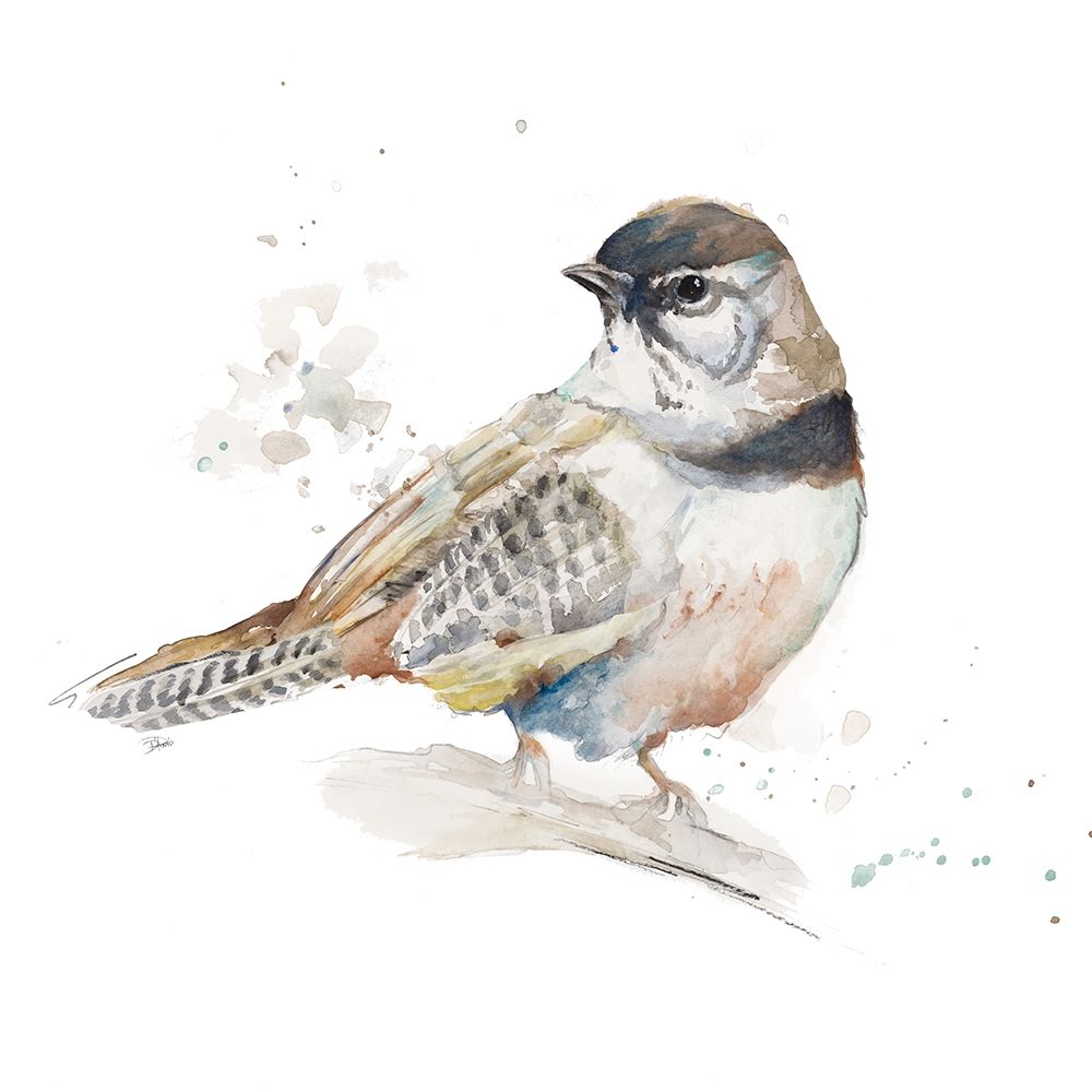 Watercolor Mountain Bird III art print by Patricia Pinto for $57.95 CAD