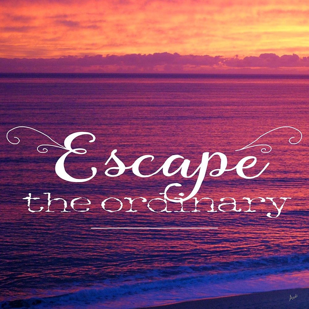 Escape The Ordinary art print by Andi Metz for $57.95 CAD