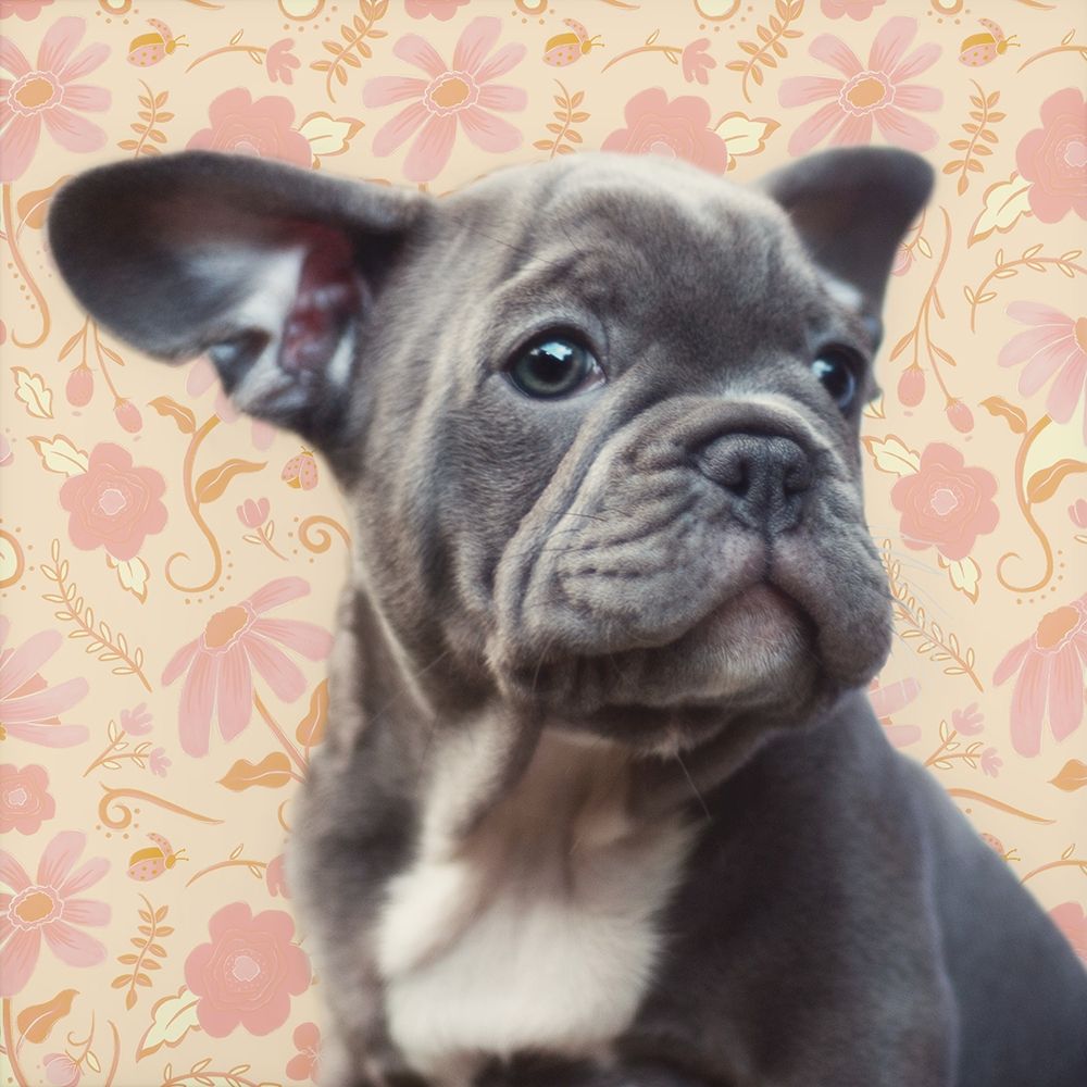 Pondering Puppy art print by Josefina for $57.95 CAD