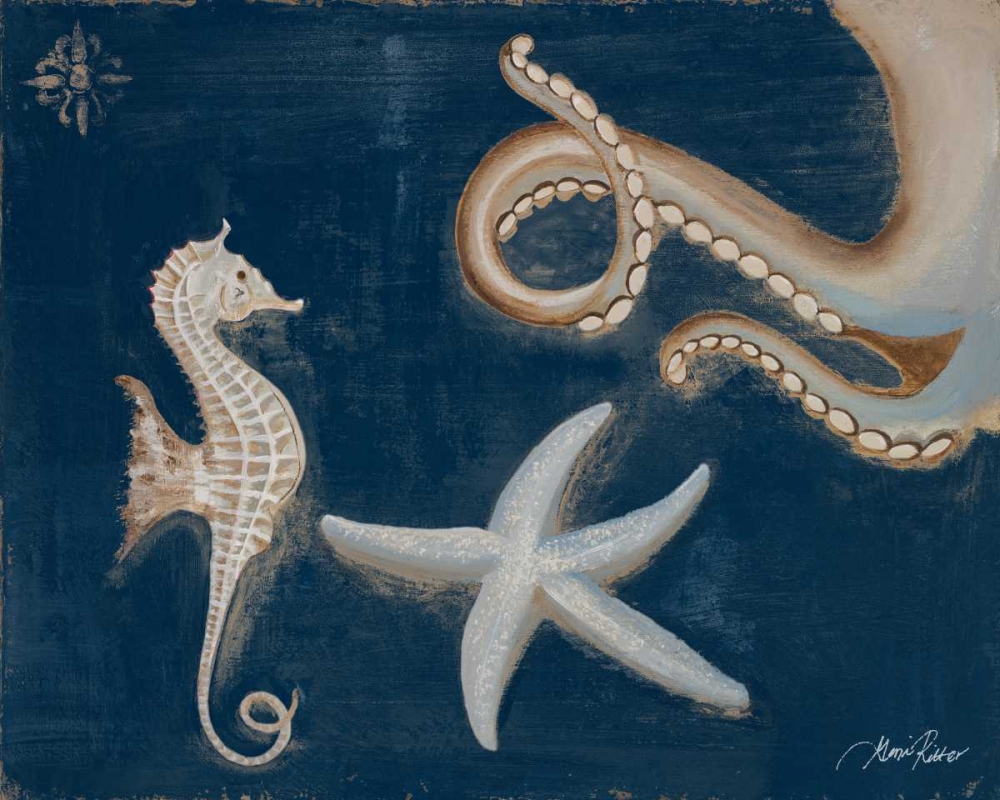 Coastal Life on Blue I art print by Gina Ritter for $57.95 CAD