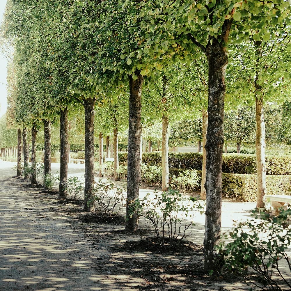 Parisian Stroll I art print by Emily Navas for $57.95 CAD