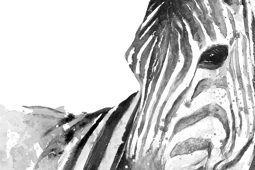 Zebra Gaze art print by Patricia Pinto for $57.95 CAD